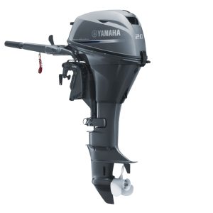 MARINE ENGINES F20
